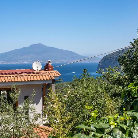 Ulivi - De Vivo Realty * Sorrente