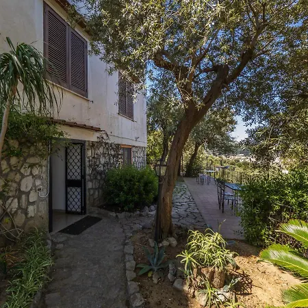 Ulivi - De Vivo Realty * Sorrente