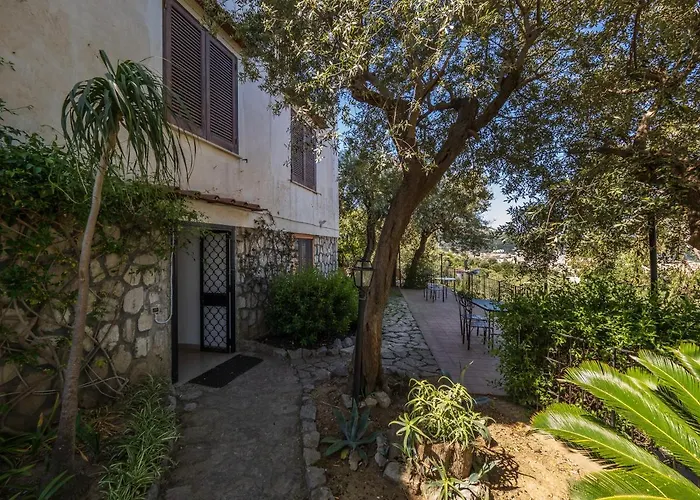 Ulivi - De Vivo Realty * Sorrento