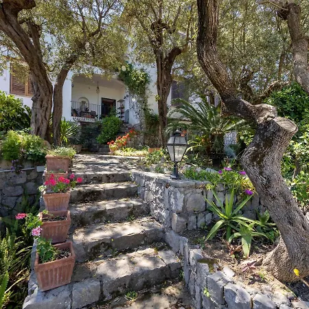 De Vivo Realty - Ulivi Apt Sorrento Casa vacanze *