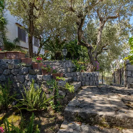 De Vivo Realty - Ulivi Apt Sorrento