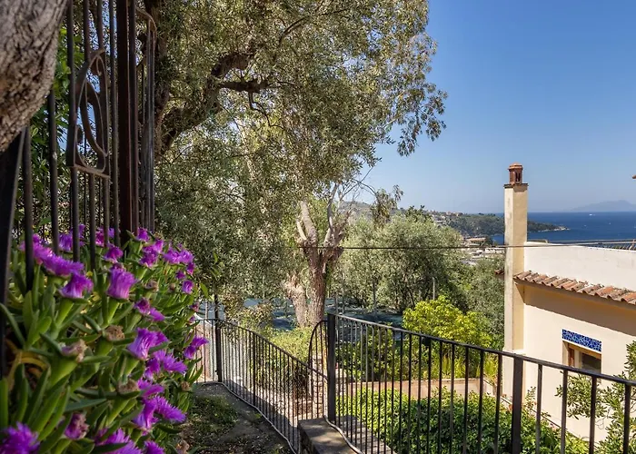 Ulivi - De Vivo Realty *