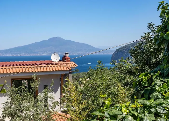 Ulivi - De Vivo Realty * Sorrento