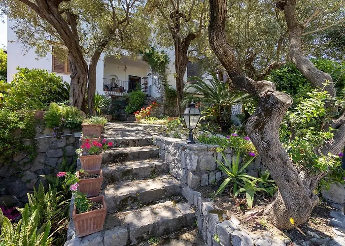 Ulivi - De Vivo Realty Holiday home *