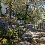 Ulivi - De Vivo Realty