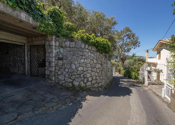 Ulivi - De Vivo Realty *