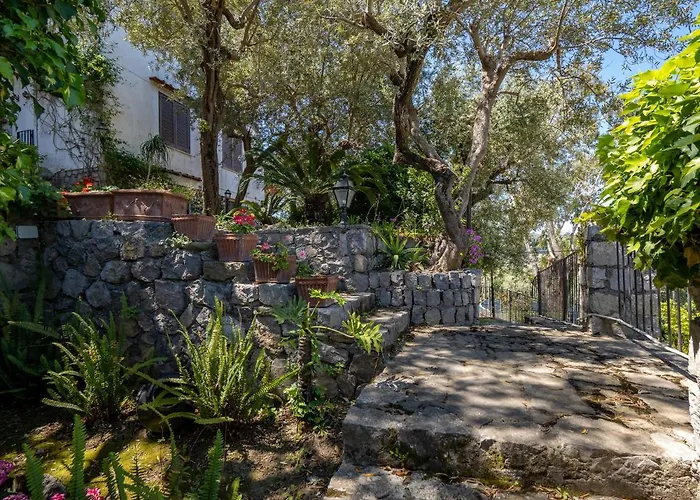 Ulivi - De Vivo Realty